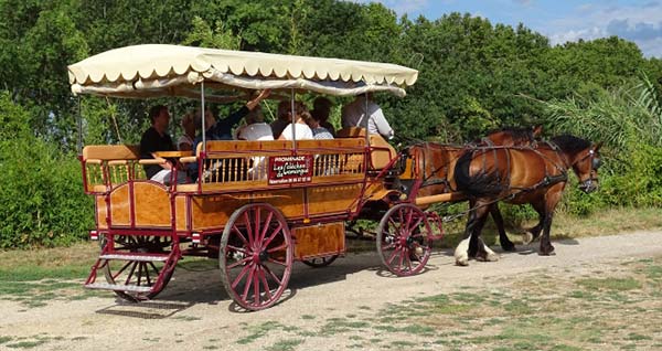 Les calèches de Camargue