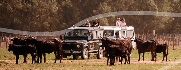 Camargue autrement