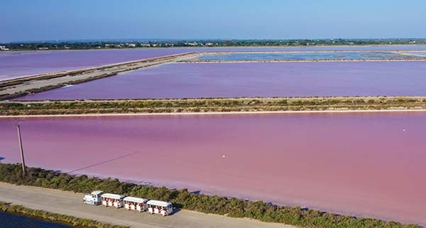 Visites salines Camargue